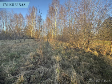 Działka Sprzedaż Strabla
