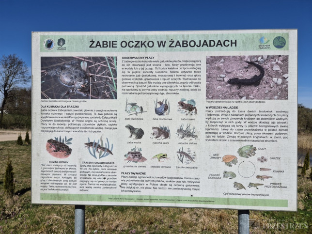 Dom Sprzedaż Dubeninki 6