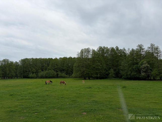 Działka Sprzedaż Zabłudów 7
