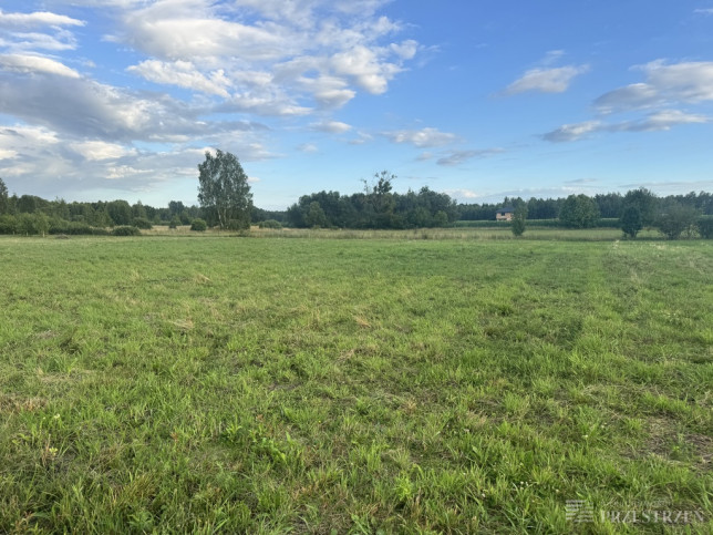 Działka Sprzedaż Skrybicze 3