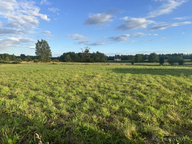 Działka Sprzedaż Skrybicze 4