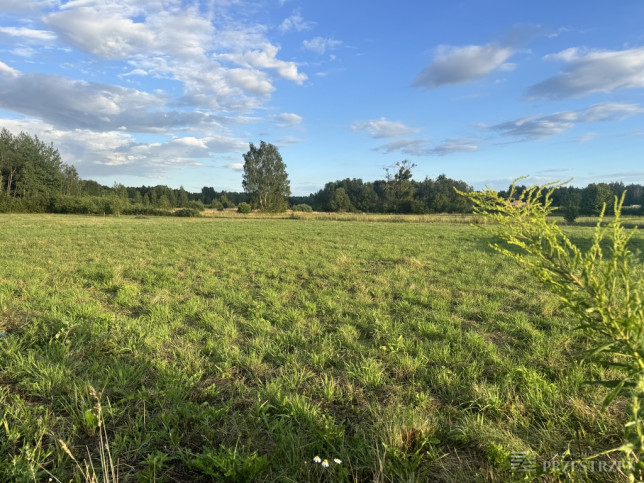 Działka Sprzedaż Skrybicze 4
