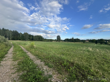 Działka Sprzedaż Skrybicze