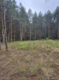 Działka Sprzedaż Bołtryki