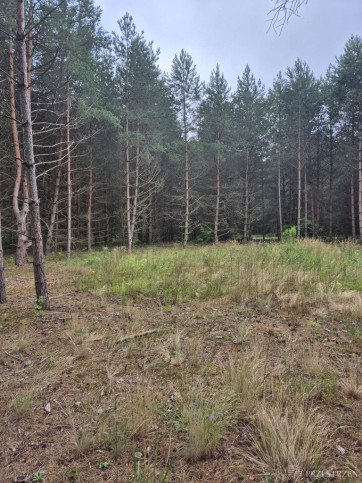 Działka Sprzedaż Bołtryki 8