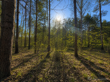 Działka Sprzedaż Kaczały